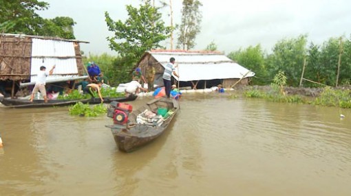 Lũ phức tạp, ĐBSCL thiệt hại nặng