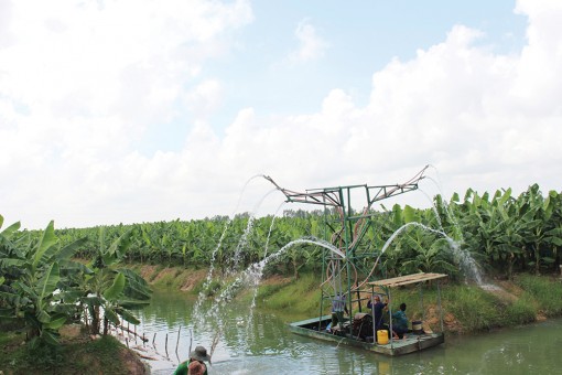 Thu hút đầu tư vào các dự án nông nghiệp lớn