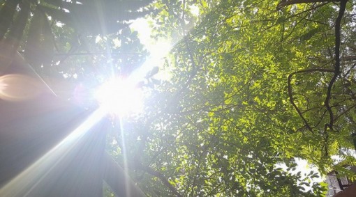 Thời tiết ngày 22-9: Hà Nội tiếp tục có nắng