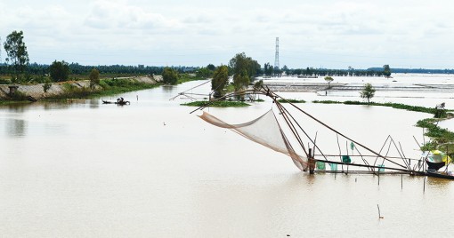 Mùa cất vó!