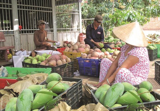 Xuất khẩu rau, củ, quả tăng cả lượng lẫn giá trị