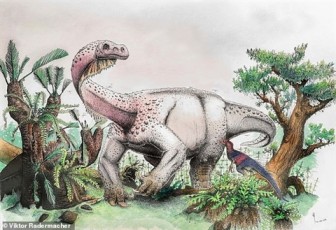 Phát hiện khủng long khổng lồ cực quan trọng