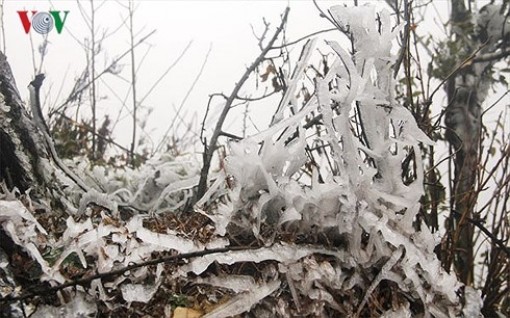 Mùa Đông 2018 đến sớm và rét đậm, rét hại sẽ nhiều hơn ​