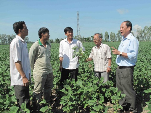 Chọn người tài điều hành hợp tác xã