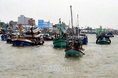 Cà Mau: Tăng cường giám sát tàu cá