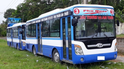 Sắp có 3 tuyến xe buýt phục vụ người dân Phú Quốc