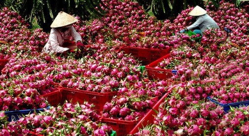 Đẩy mạnh xuất khẩu dịp cuối năm