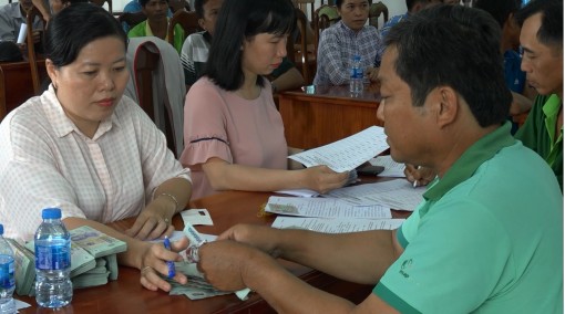 Nông dân Châu Phú được giải ngân 600 triệu đồng hỗ trợ  chăn nuôi bò thịt