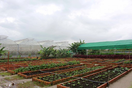 Hỗ trợ đầu tư vào nông nghiệp công nghệ cao