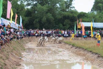 Hội đua bò Bảy Núi tranh Cúp Truyền hình An Giang lần thứ 25 - năm 2018 diễn ra ngày 8-10
