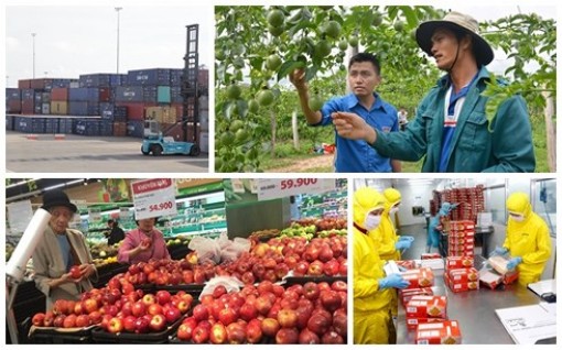 WB dự báo GDP Việt Nam năm 2018 tăng 6,8%