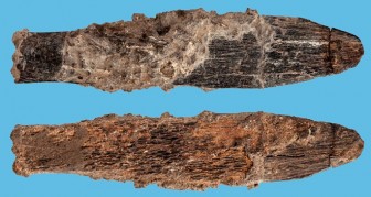 Tìm thấy dao 90.000 năm tuổi được chế tác tinh xảo tại Bắc Phi