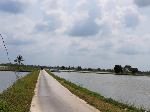 Nông nghiệp tăng tốc