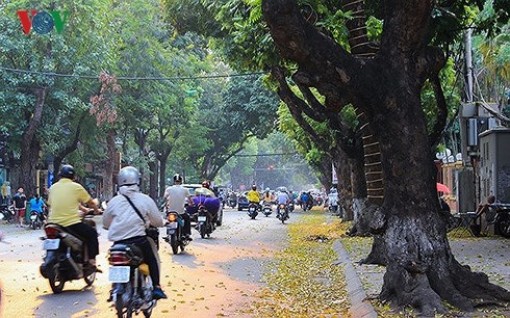 Dự báo thời tiết 5-10: Bắc Bộ se lạnh, miền Trung tiếp tục có mưa rào