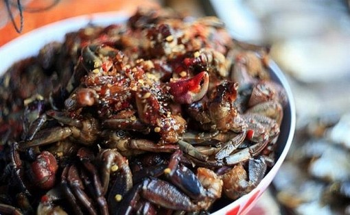 Nếm thử những đặc sản nổi tiếng chỉ có ở Cà Mau