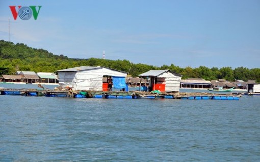 Kinh tế biển ở Kiên Giang có chuyển biến tích cực