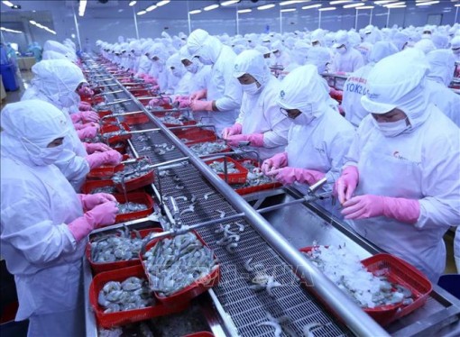 Xuất khẩu thủy sản ước tăng 7,2% so với cùng kỳ năm 2017