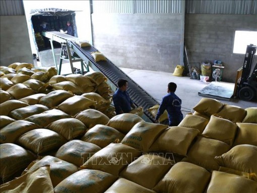 Xuất khẩu gạo 9 tháng đạt gần 5 triệu tấn, tăng 23,2% giá trị