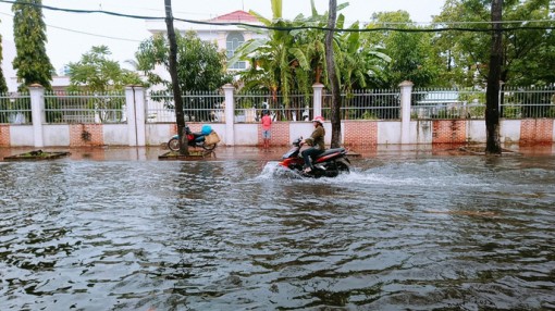 Cà Mau: Đường biến thành “sông” sau cơn mưa như trút nước