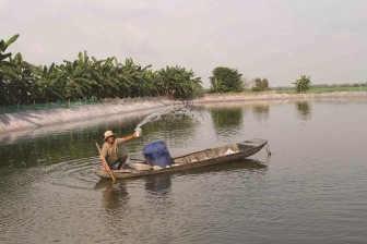 Lãi nhiều, rủi ro cao