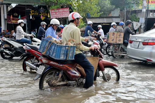 Triều cường gây ngập sâu vào sáng sớm và cuối buổi chiều