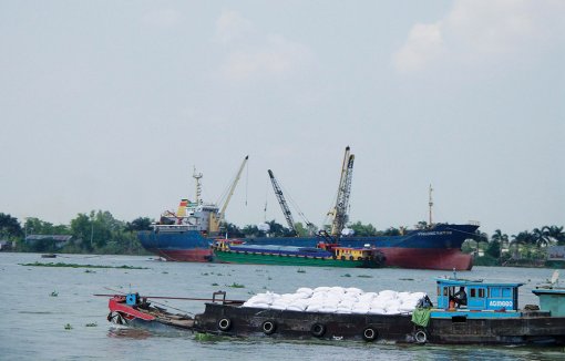 Rộng cửa thị trường xuất khẩu