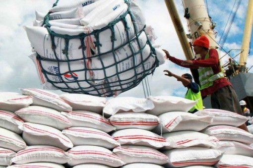 Philippines cho phép nhập khẩu gạo theo hướng mở cửa