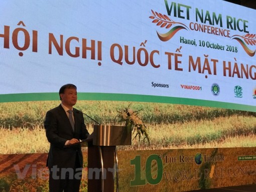 Gạo Việt Nam cần xây dựng chỉ dẫn địa lý để nâng giá trị