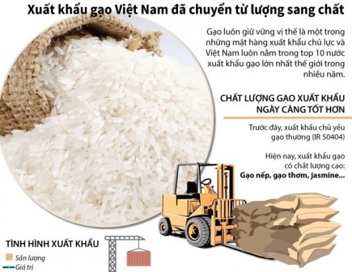 Xuất khẩu gạo Việt Nam đã chuyển từ lượng sang chất