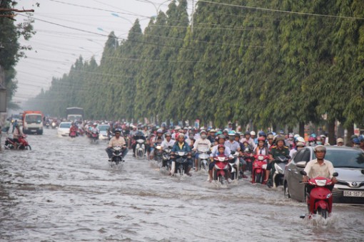 Triều cường bủa vây ĐBSCL