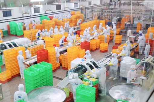 Long An: Doanh nghiệp, doanh nhân là động lực trong phát triển kinh tế - xã hội