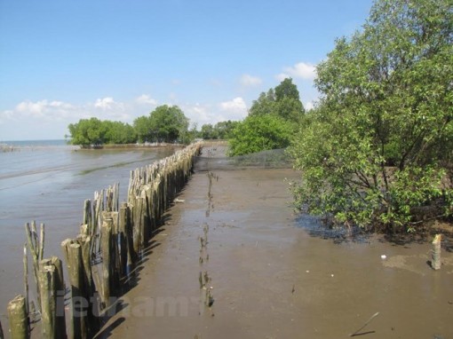 Sạt lở nghiêm trọng ở ĐBSCL: Cần thực hiện đồng bộ nhiều giải pháp