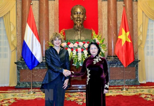 Quyền Chủ tịch nước Đặng Thị Ngọc Thịnh tiếp các Đại sứ trình Quốc thư