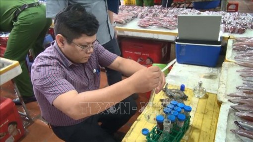 Bạc Liêu tăng cường kiểm soát, ngăn chặn, xử lý hành vi đưa tạp chất vào tôm
