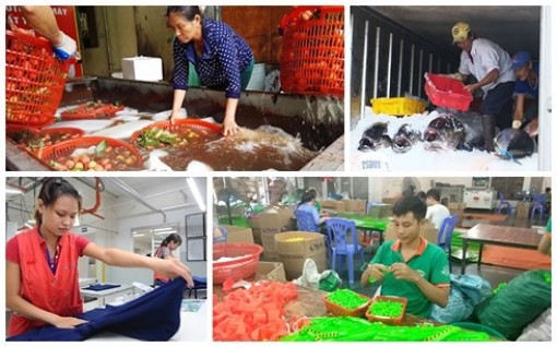Kim ngạch xuất nhập khẩu 9 tháng năm 2018 lập kỷ lục mới