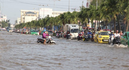 Cần Thơ đã sẵn sàng sơ tán dân khỏi vùng ngập sâu