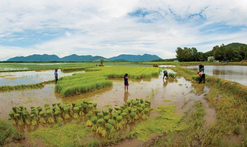 Sống cùng lũ