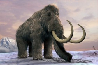 Phát hiện xương voi ma mút cổ đại 130.000 năm tuổi ở Anh