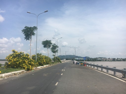 “Biển đồng”