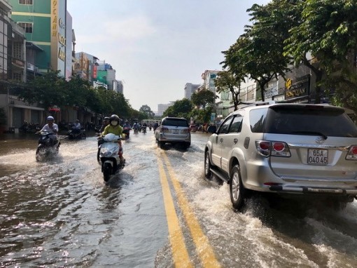 Thành phố Cần Thơ đón hai đợt triều cường với mức báo động 3