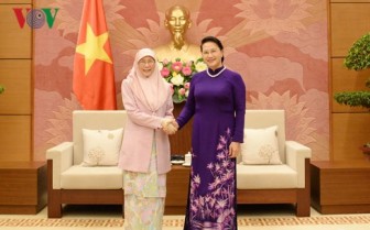 Chủ tịch Quốc hội tiếp Phó Thủ tướng Malaysia