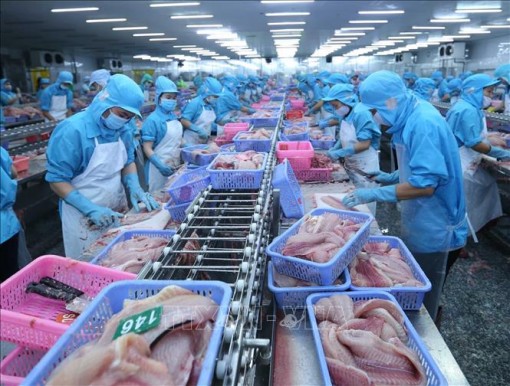 Thị trường có lợi cho xuất khẩu cá tra