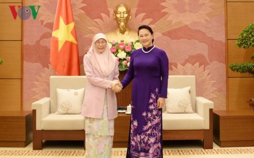 Chủ tịch Quốc hội tiếp Phó Thủ tướng Malaysia