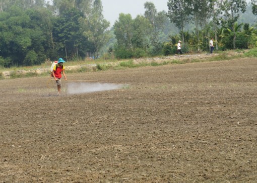 Giá phân bón lại tăng