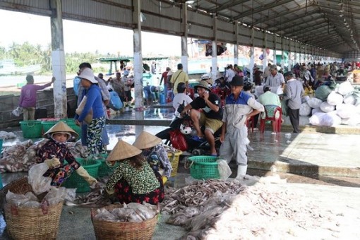 Đầu tư 95 tỷ đồng nâng cấp cảng cá Tắc Cậu