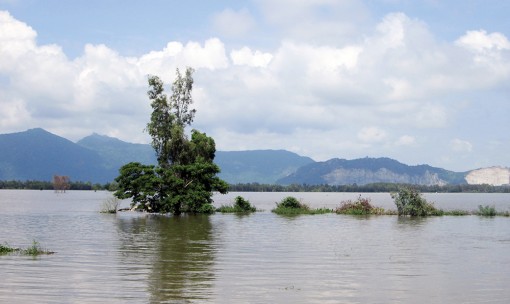 Rong chơi theo mùa nước nổi