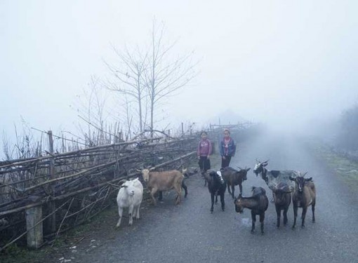 Miền Bắc mưa lạnh, Hà Nội thấp nhất 20 độ C