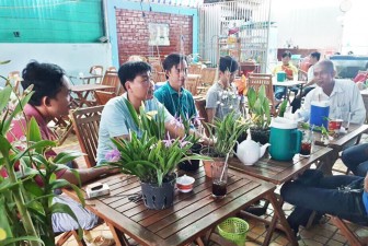 Câu lạc bộ hoa lan Châu Phú: Chia sẻ đam mê