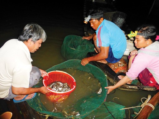 Lênh đênh theo con “cá chạy”