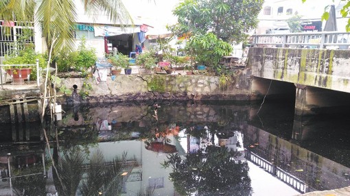 Nhiều kỳ vọng về “dự án triệu đô” cho TP. Long Xuyên